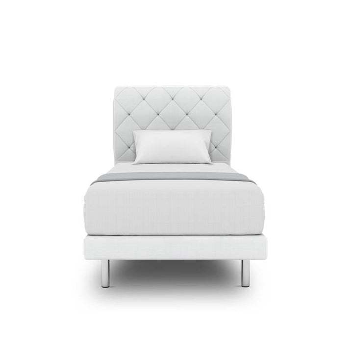 Belissa Headboard + Day Angelica Divan (Bed Frame)