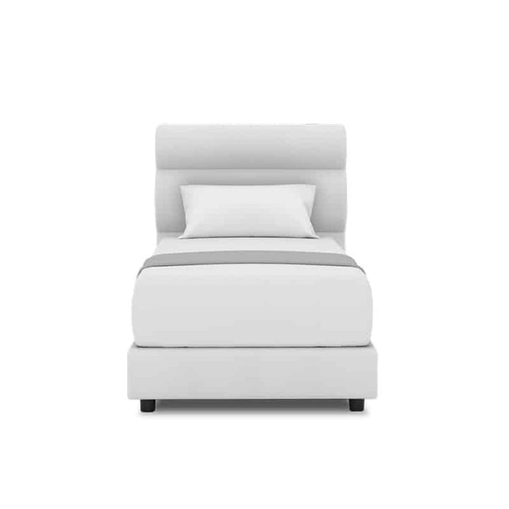 Fullerton Headboard + Night Angel Divan (Bed Frame)