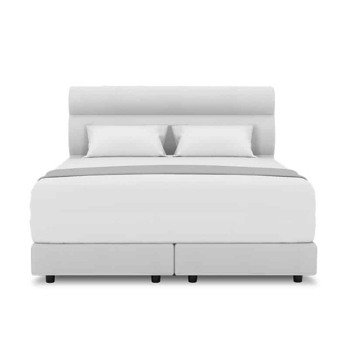 Fullerton Headboard + Night Angel Divan (Bed Frame)