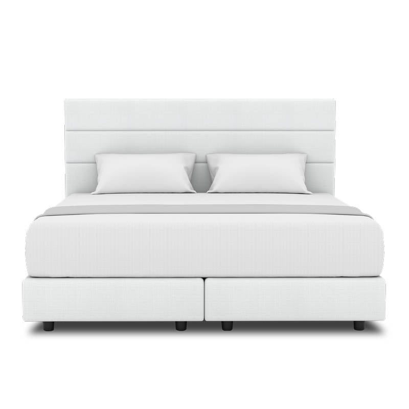 Tulip Headboard + Night Angel Divan (Bed Frame)
