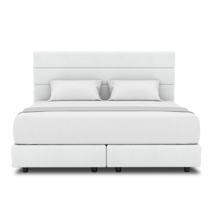 Tulip Headboard + Night Angel Divan (Bed Frame)