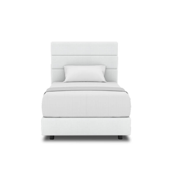 Tulip Headboard + Night Angel Divan (Bed Frame)