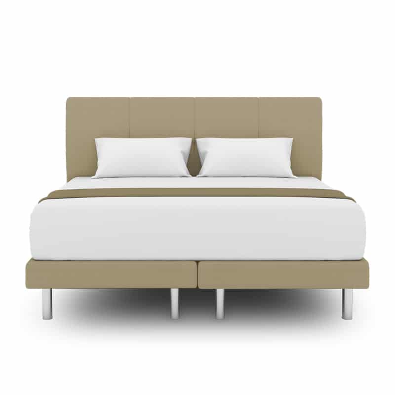 Collin Headboard + Day Angel Divan (Bed Frame)