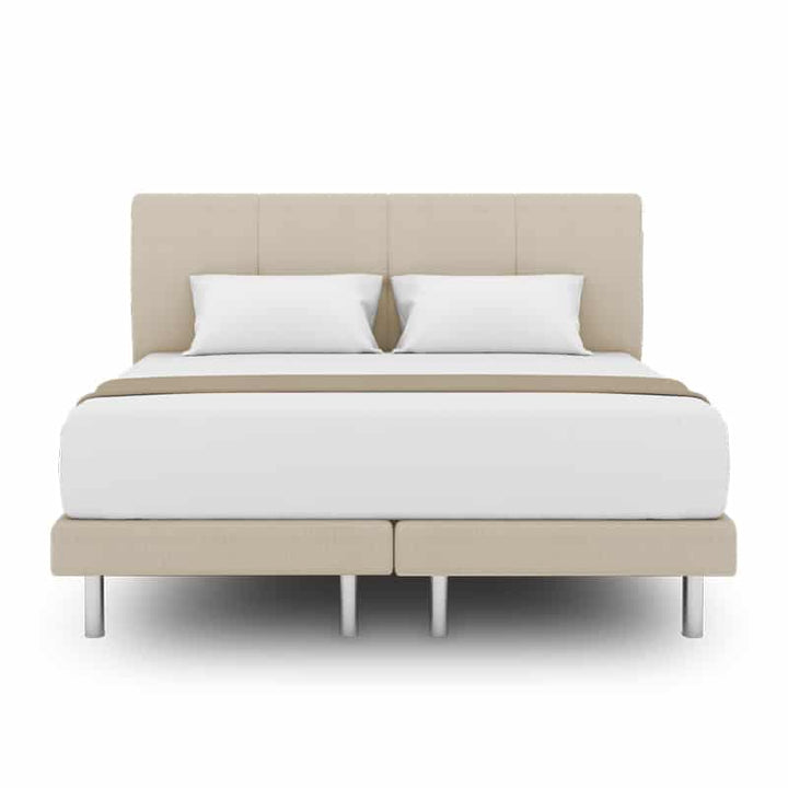 Collin Headboard + Day Angel Divan (Bed Frame)