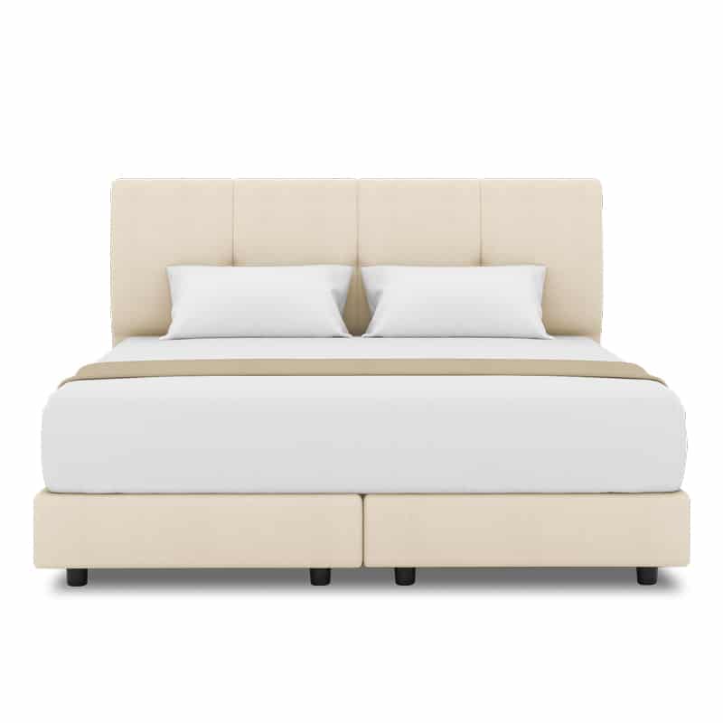 Collin Headboard + Night Angel Divan (Bed Frame)