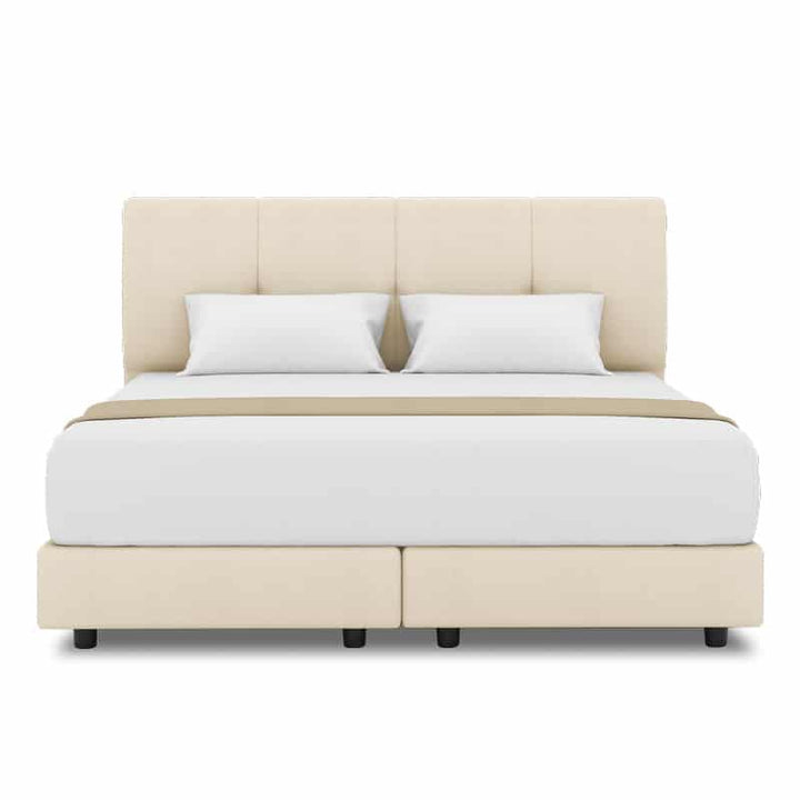 Collin Headboard + Night Angel Divan (Bed Frame)
