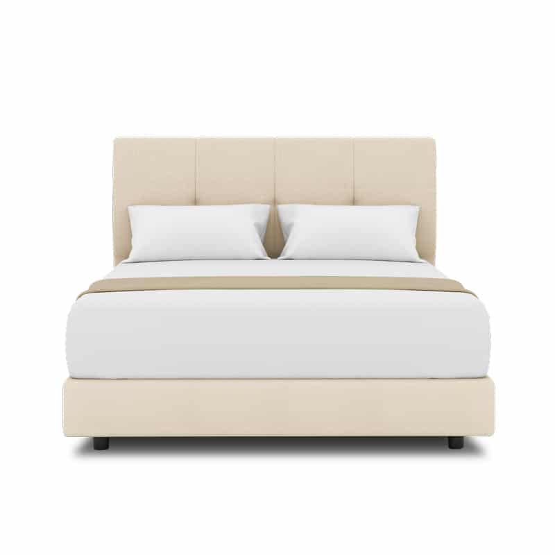 Collin Headboard + Night Angel Divan (Bed Frame)