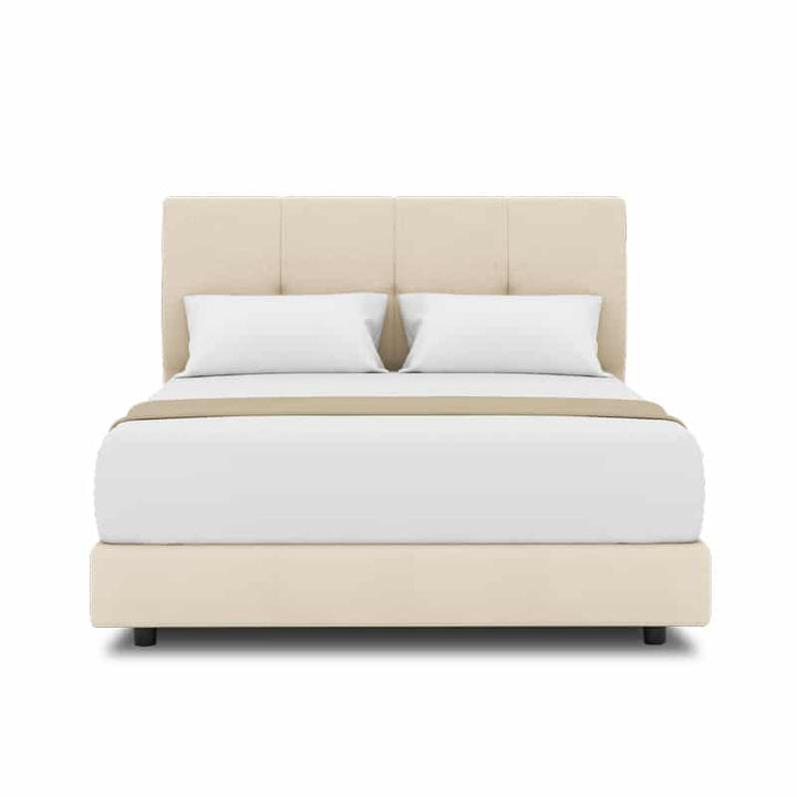 Collin Headboard + Night Angel Divan (Bed Frame)