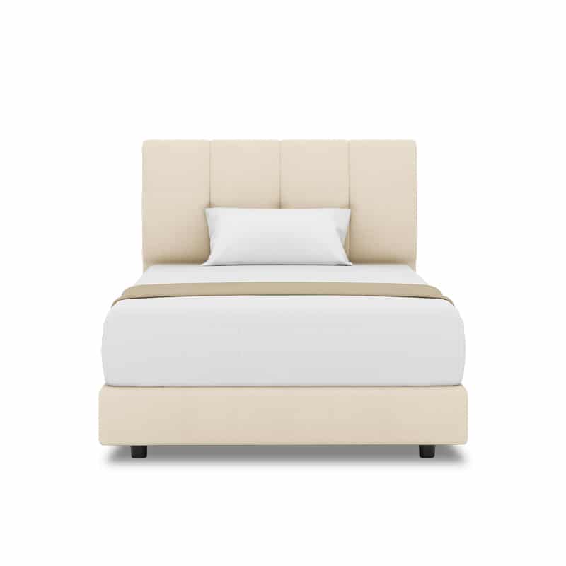 Collin Headboard + Night Angel Divan (Bed Frame)