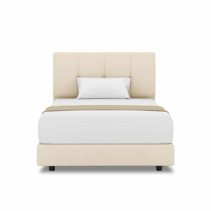 Collin Headboard + Night Angel Divan (Bed Frame)