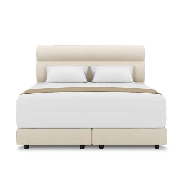 Fullerton Headboard + Night Angel Divan (Bed Frame)