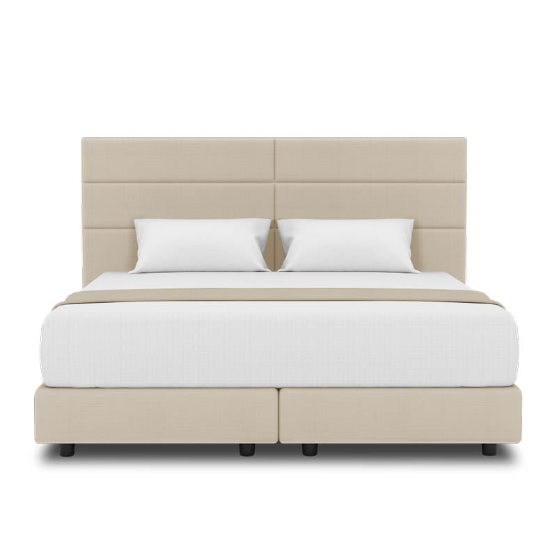 Jasmine Headboard + Night Angel Divan (Bed Frame)