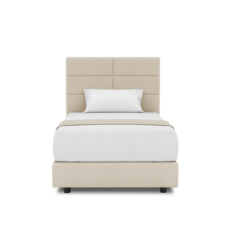 Jasmine Headboard + Night Angel Divan (Bed Frame)