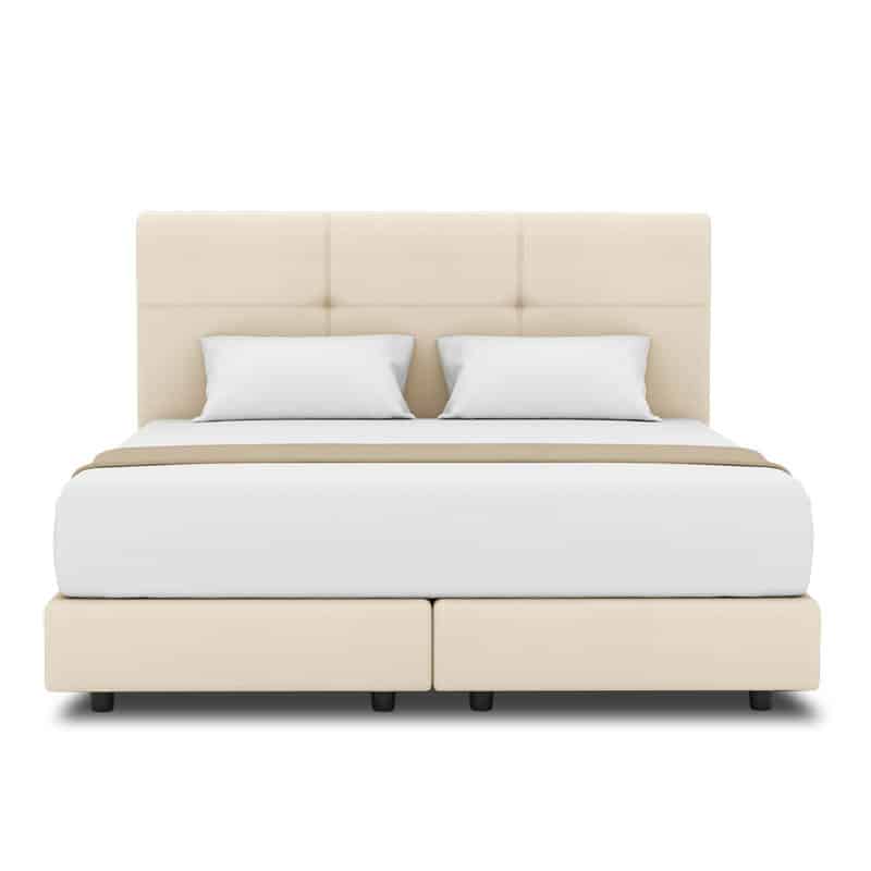 Rose Headboard + Night Angel Divan (Bed Frame)
