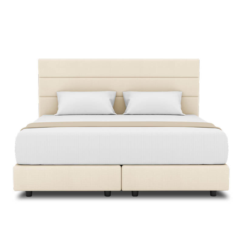 Tulip Headboard + Night Angel Divan (Bed Frame)