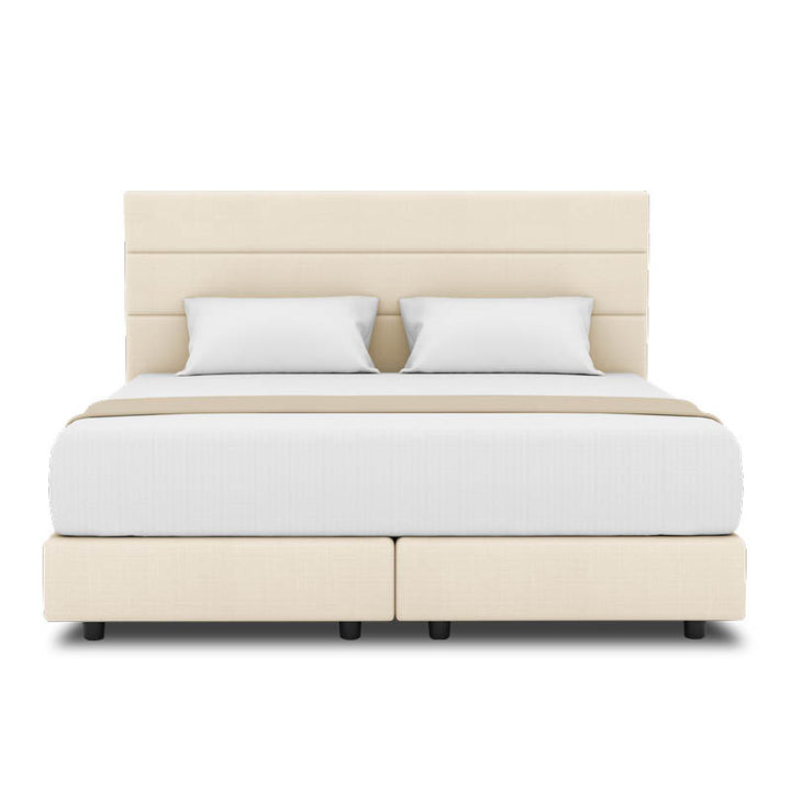 Tulip Headboard + Night Angel Divan (Bed Frame)