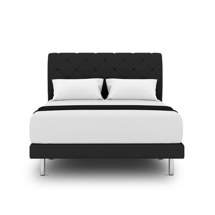 Belissa Headboard + Day Angelica Divan (Bed Frame)