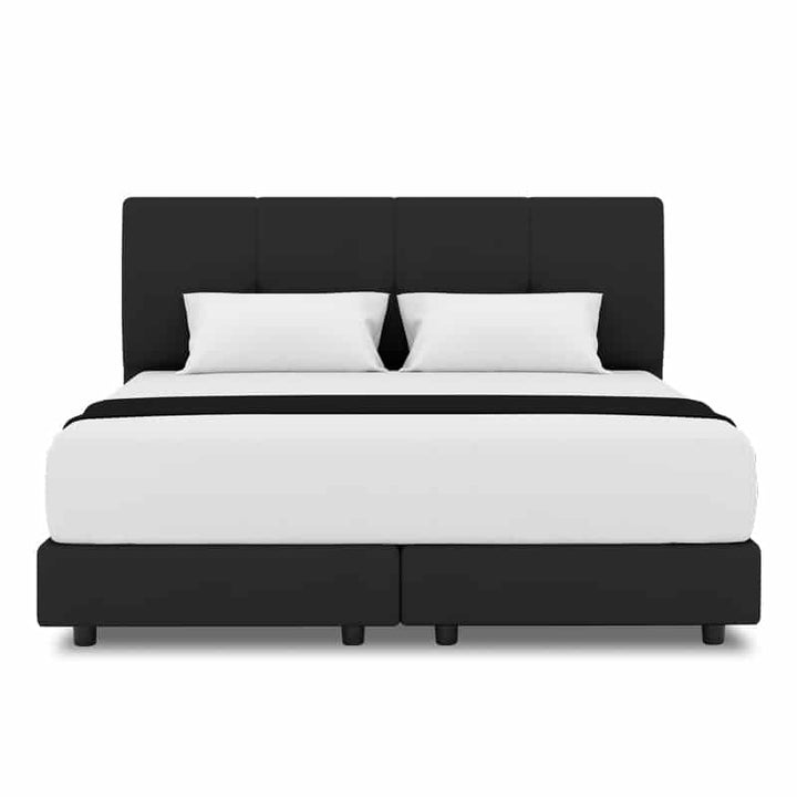Collin Headboard + Night Angel Divan (Bed Frame)