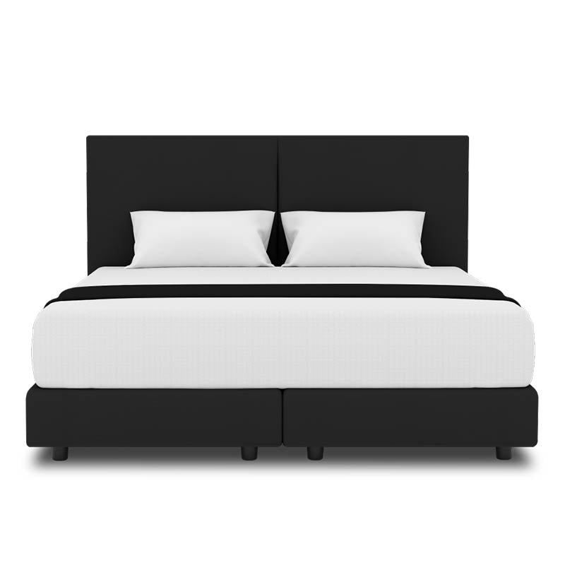 Peony Headboard + Night Angel Divan (Bed Frame)