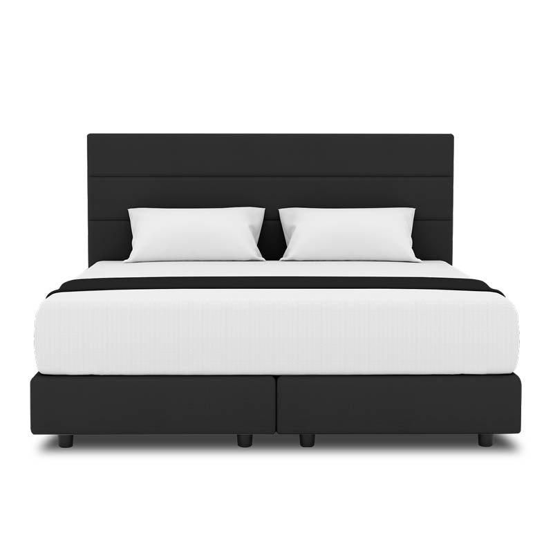Tulip Headboard + Night Angel Divan (Bed Frame)