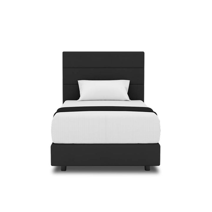 Tulip Headboard + Night Angel Divan (Bed Frame)