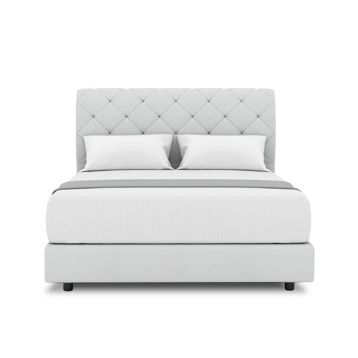 Belissa Headboard + Night Angelica Divan (Bed Frame)