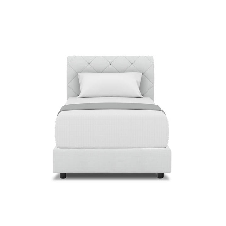 Belissa Headboard + Night Angelica Divan (Bed Frame)
