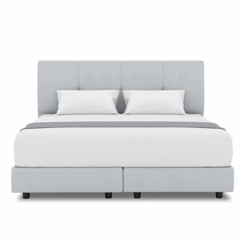 Collin Headboard + Night Angel Divan (Bed Frame)