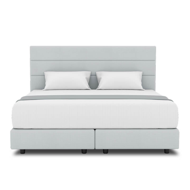 Tulip Headboard + Night Angel Divan (Bed Frame)