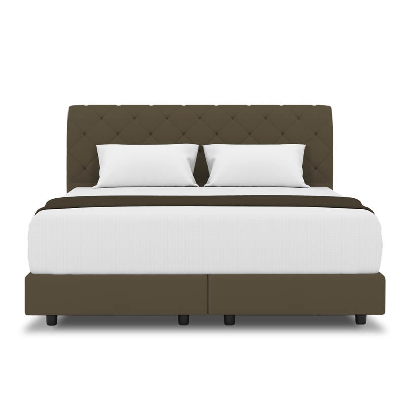Belissa Headboard + Night Angelica Divan (Bed Frame)