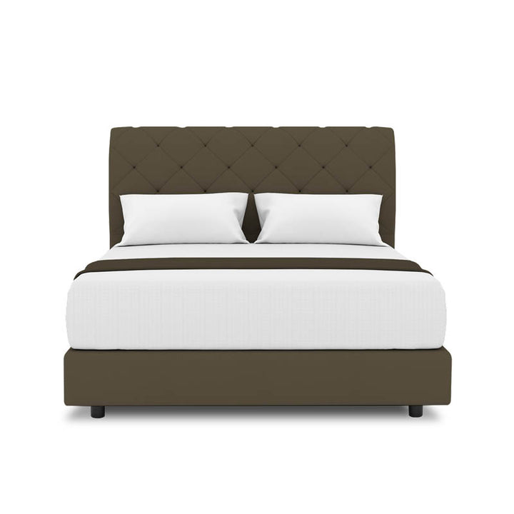 Belissa Headboard + Night Angelica Divan (Bed Frame)