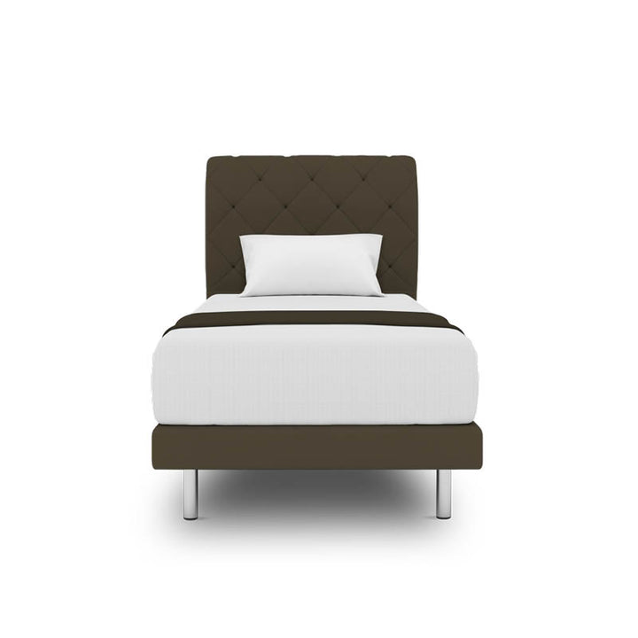 Belissa Headboard + Day Angelica Divan (Bed Frame)