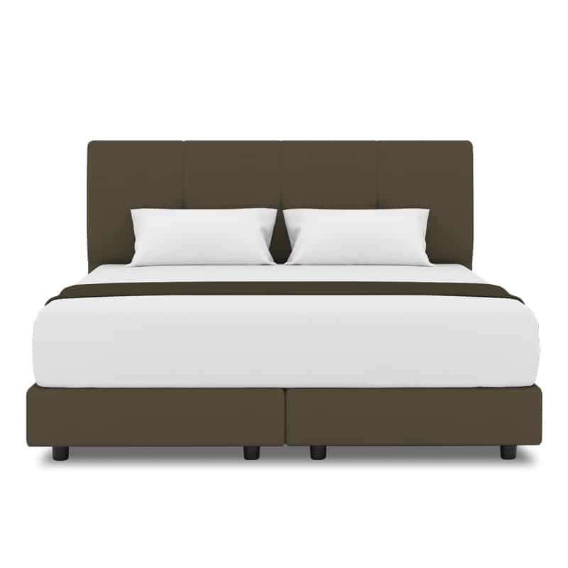 Collin Headboard + Night Angel Divan (Bed Frame)