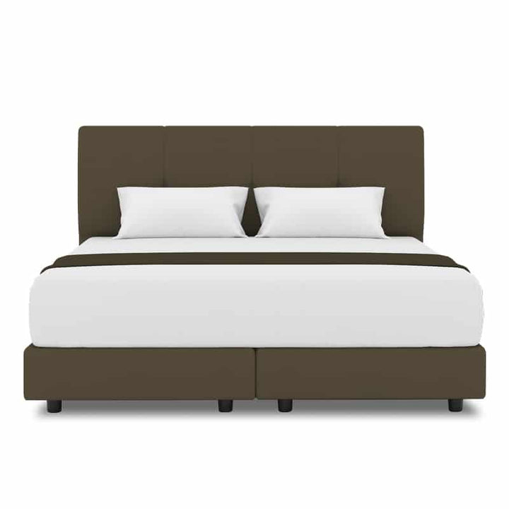 Collin Headboard + Night Angel Divan (Bed Frame)