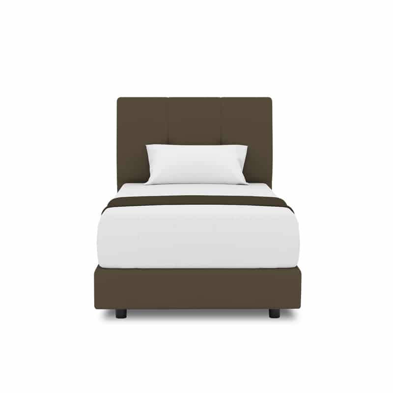 Collin Headboard + Night Angel Divan (Bed Frame)