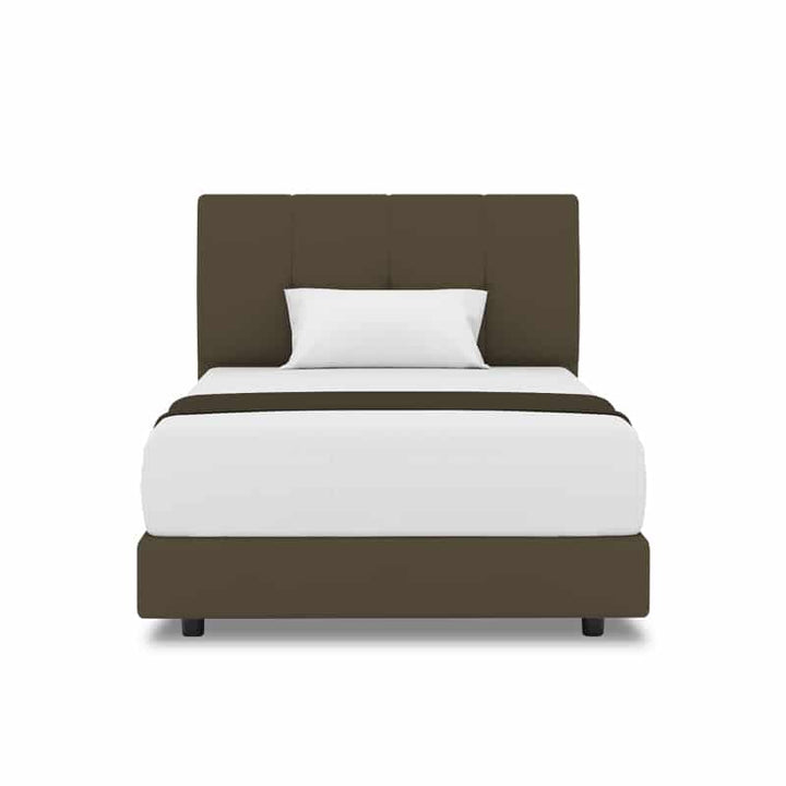 Collin Headboard + Night Angel Divan (Bed Frame)
