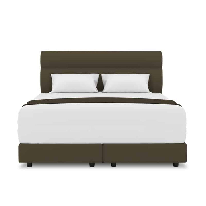 Fullerton Headboard + Night Angel Divan (Bed Frame)