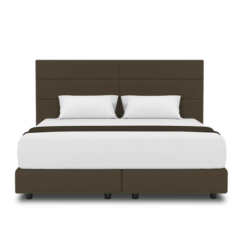 Jasmine Headboard + Night Angel Divan (Bed Frame)