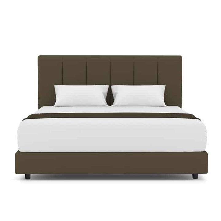 Lily Headboard + Night Angel Divan (Bed Frame)