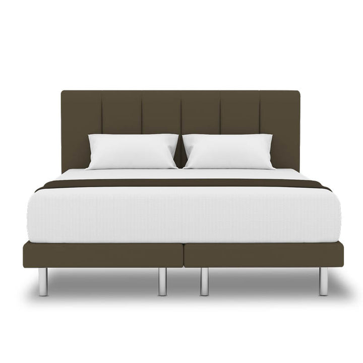 Ice Sleep D’Ice 14” Pocketed Spring Mattress + Day Angel Bed Frame (Package)