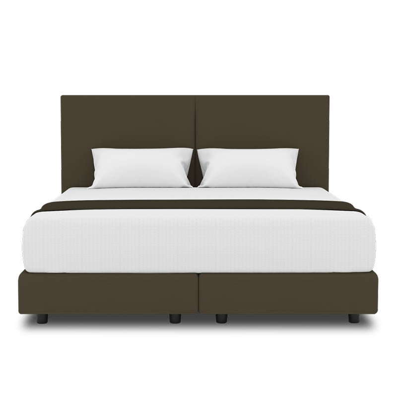 Peony Headboard + Night Angel Divan (Bed Frame)