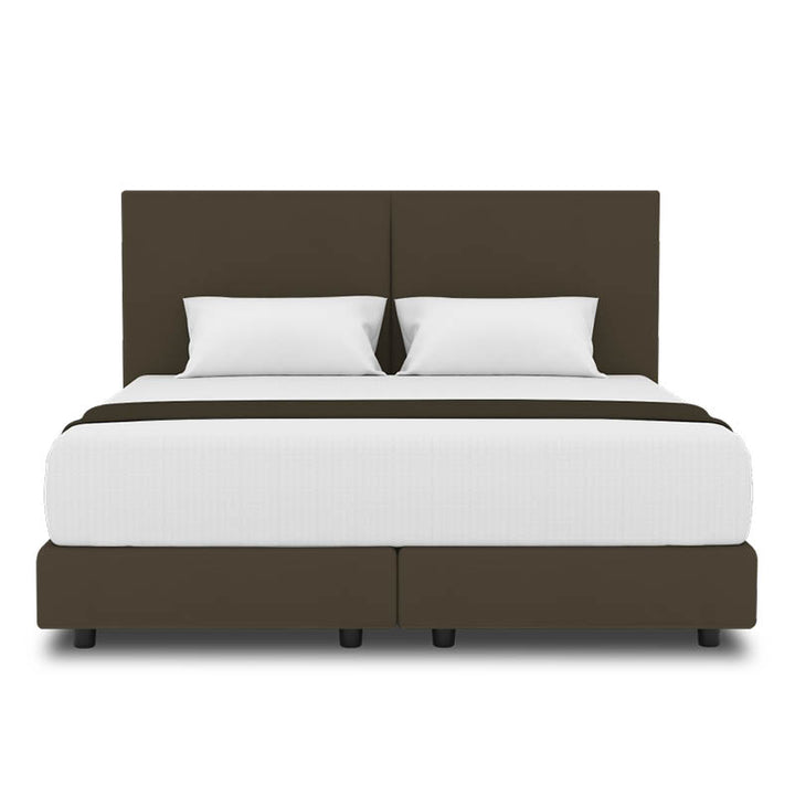 Peony Headboard + Night Angel Divan (Bed Frame)