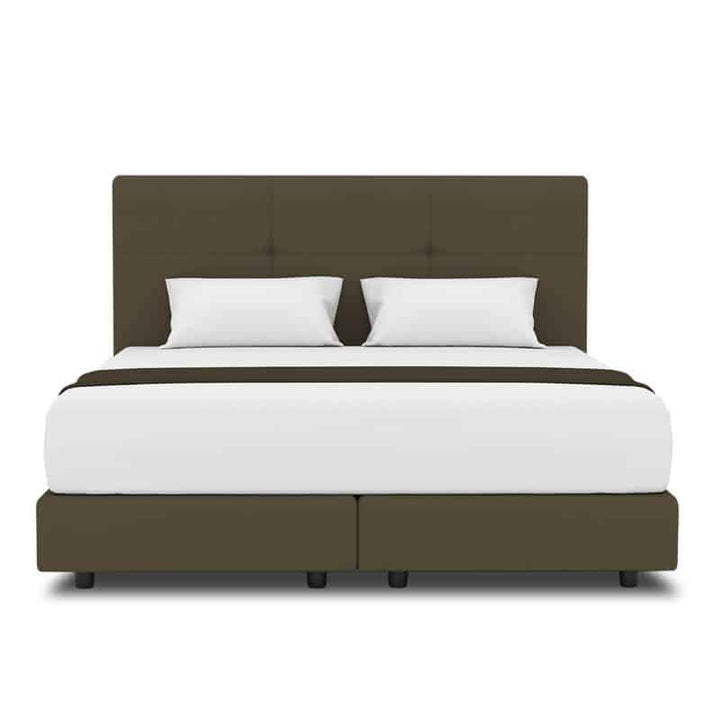 Rose Headboard + Night Angel Divan (Bed Frame)