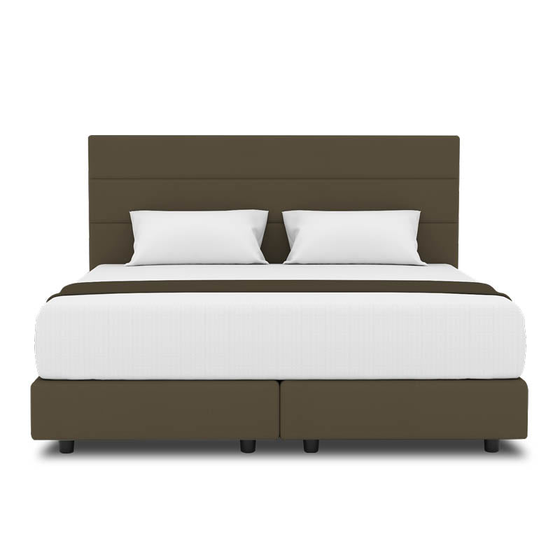 Tulip Headboard + Night Angel Divan (Bed Frame)