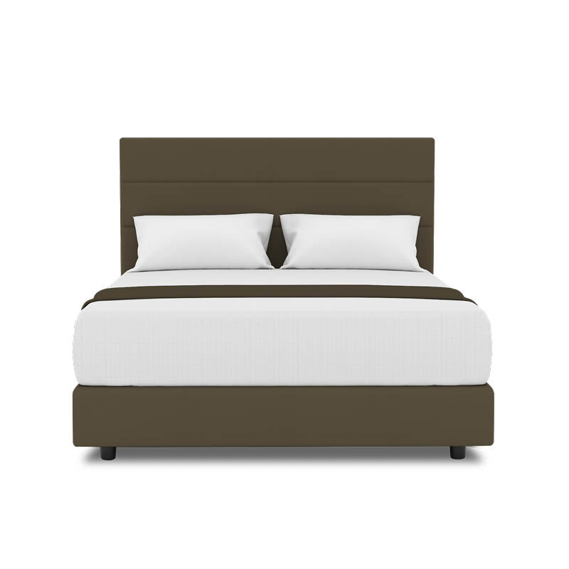 Tulip Headboard + Night Angel Divan (Bed Frame)