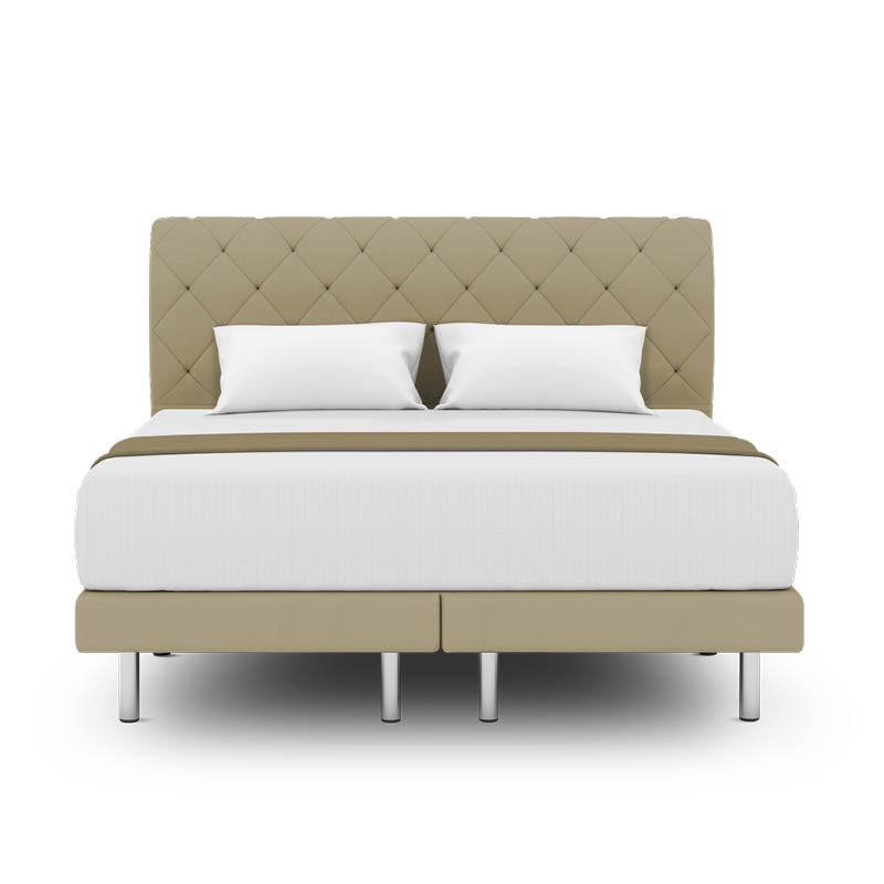 Belissa Headboard + Day Angelica Divan (Bed Frame)