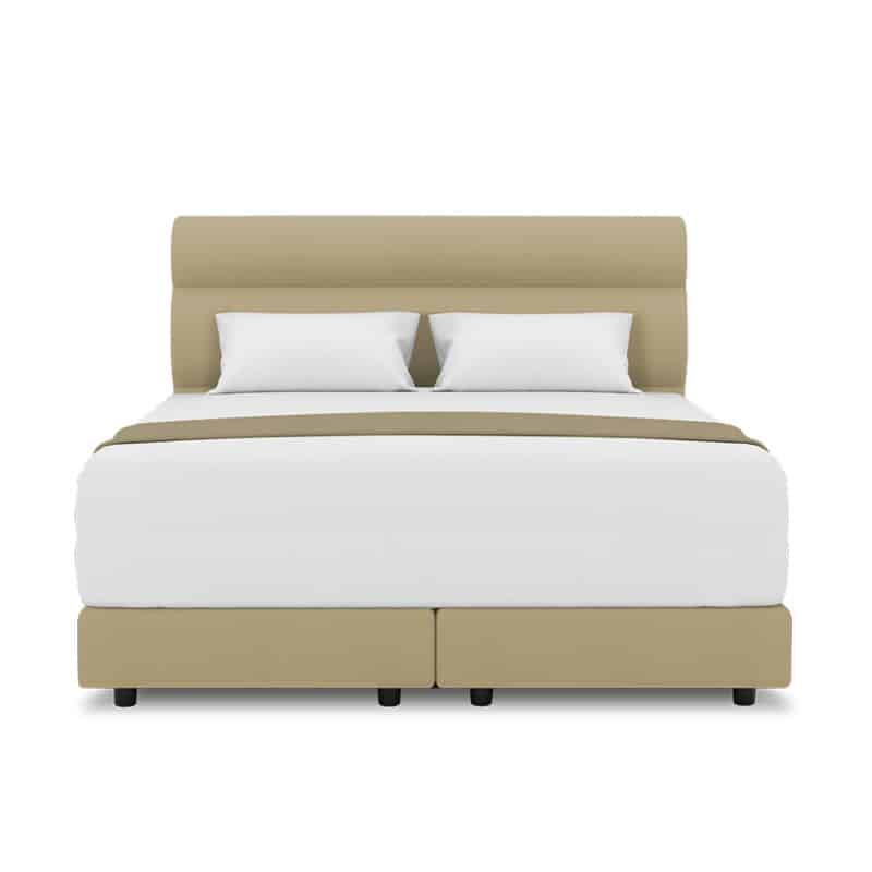 Fullerton Headboard + Night Angel Divan (Bed Frame)