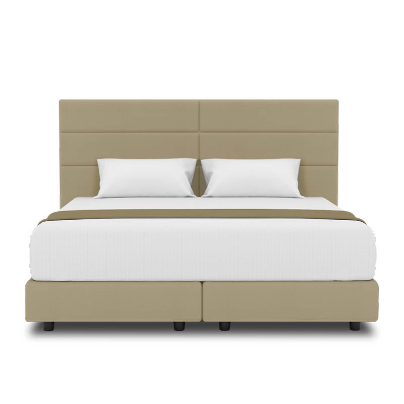 Jasmine Headboard + Night Angel Divan (Bed Frame)