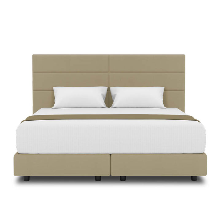 Jasmine Headboard + Night Angel Divan (Bed Frame)