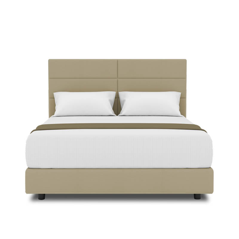 Jasmine Headboard + Night Angel Divan (Bed Frame)